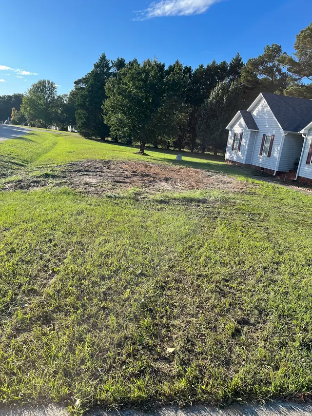 Fredin Tree Service LLC — customer photo 4