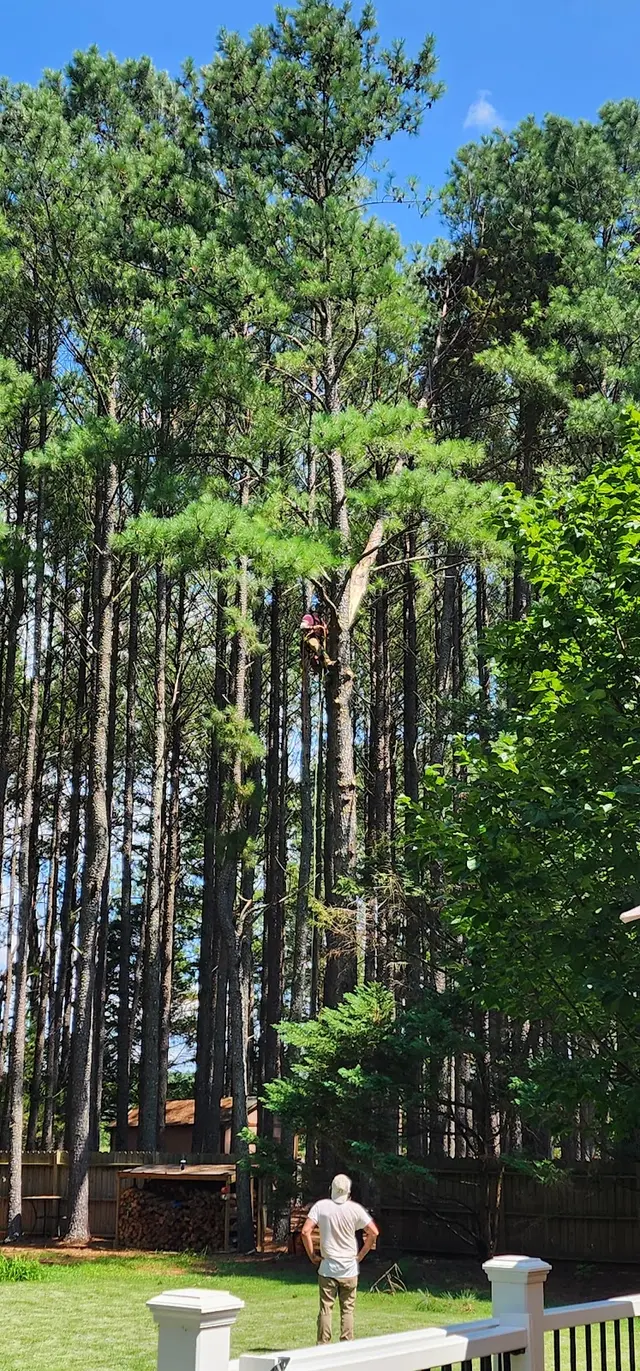 Fonville Tree Service — customer photo 8