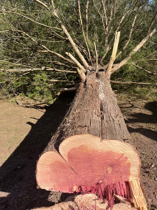 Fonville Tree Service — photo from the business 12
