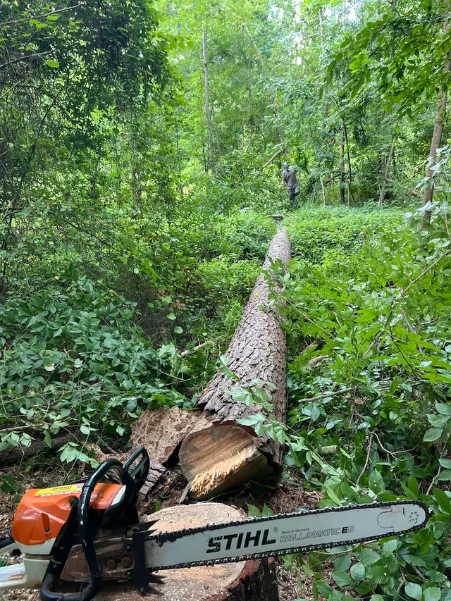 Fonville Tree Service — photo from the business 10