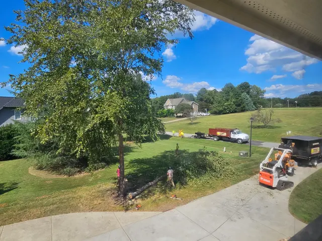 Fonville Tree Service — customer photo 11