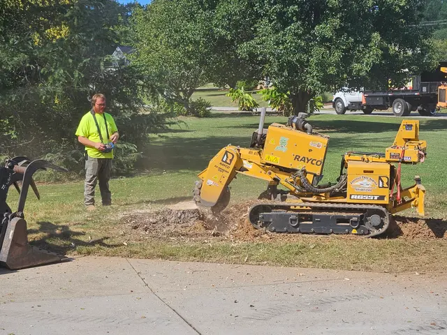 Fonville Tree Service — customer photo 3