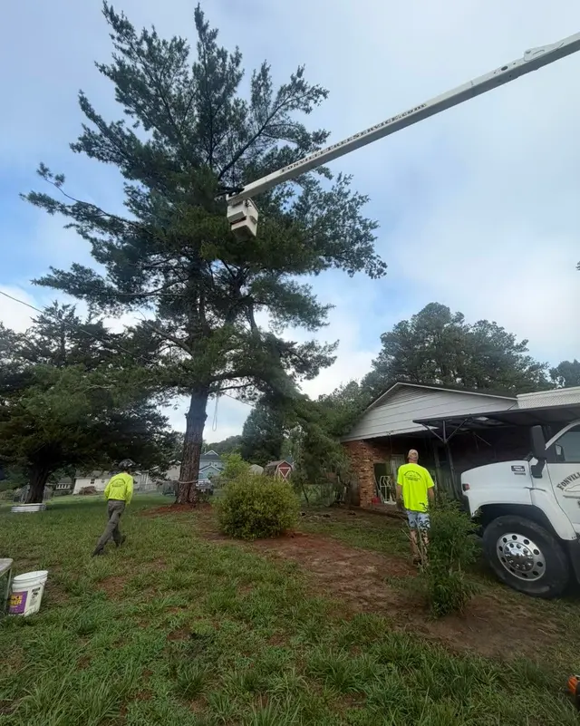 Fonville Tree Service — photo from the business 1