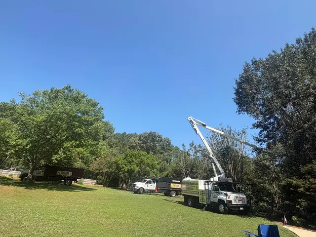 Fonville Tree Service — photo from the business 2
