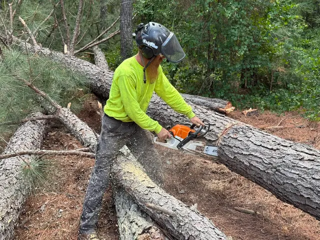 Fonville Tree Service — photo from the business 6