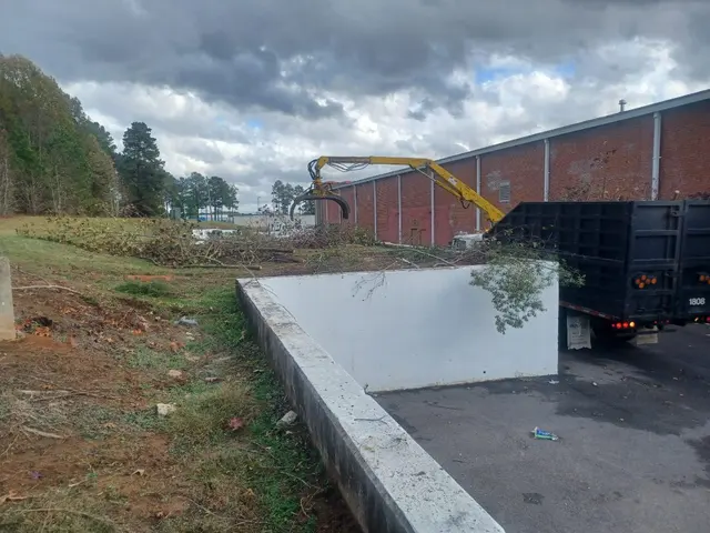 MTJ Tree Removal LLC — photo from the business 8