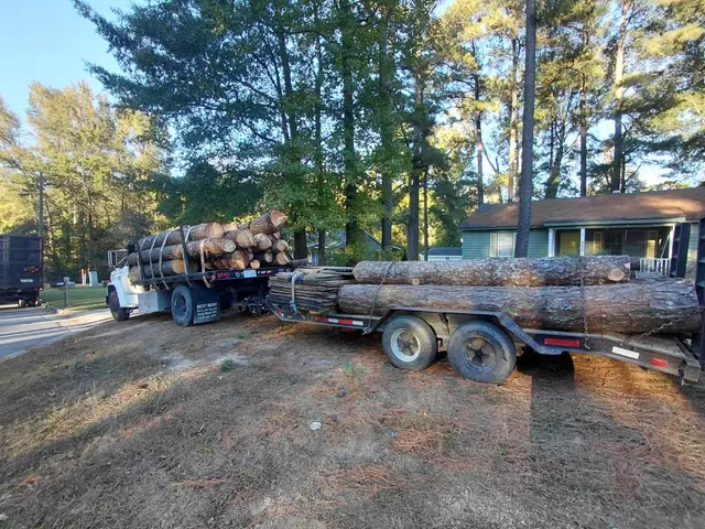 MTJ Tree Removal LLC — photo from the business 2