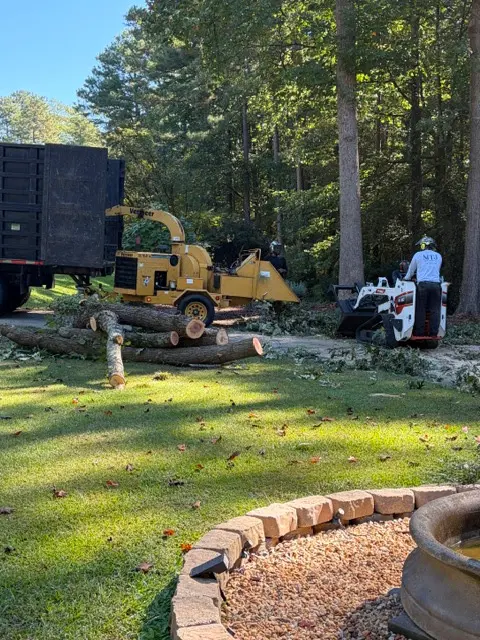 Customer photo of work by MTJ Tree Removal LLC, from Gloria Ashe's review