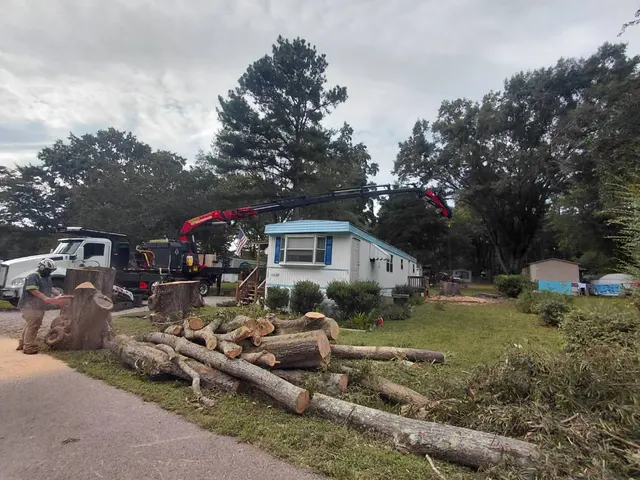 MTJ Tree Removal LLC — photo from the business 3