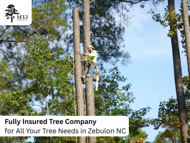 MTJ Tree Removal LLC — photo from the business 4