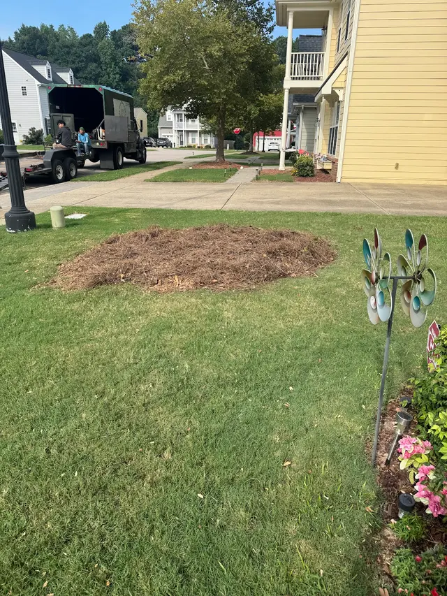 Tree Men Services LLC — customer photo 7