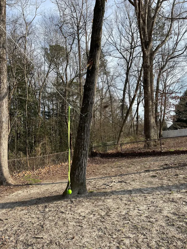 Tree Men Services LLC — customer photo 10