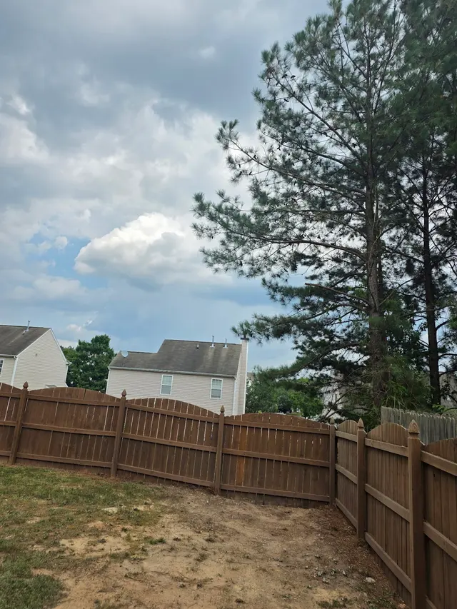 Tree Men Services LLC — customer photo 11