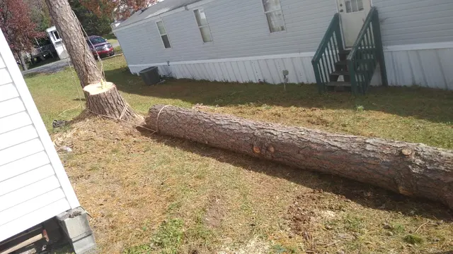 Tree Men Services LLC — photo from the business 9