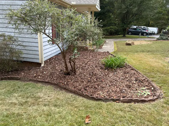 JayBird Tree Service, LLC — customer photo 2