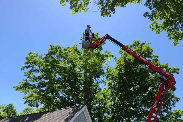 JayBird Tree Service, LLC — photo from the business 12