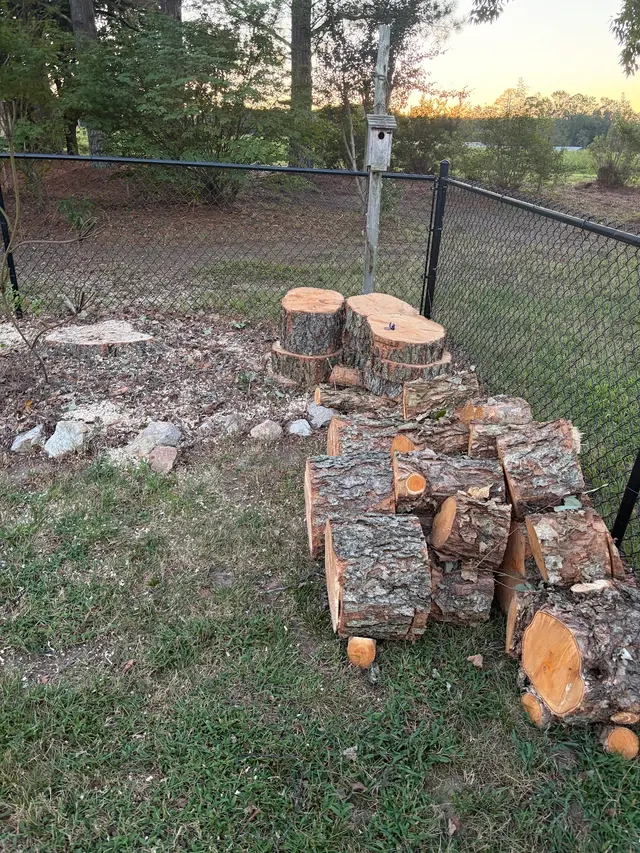 JayBird Tree Service, LLC — customer photo 5