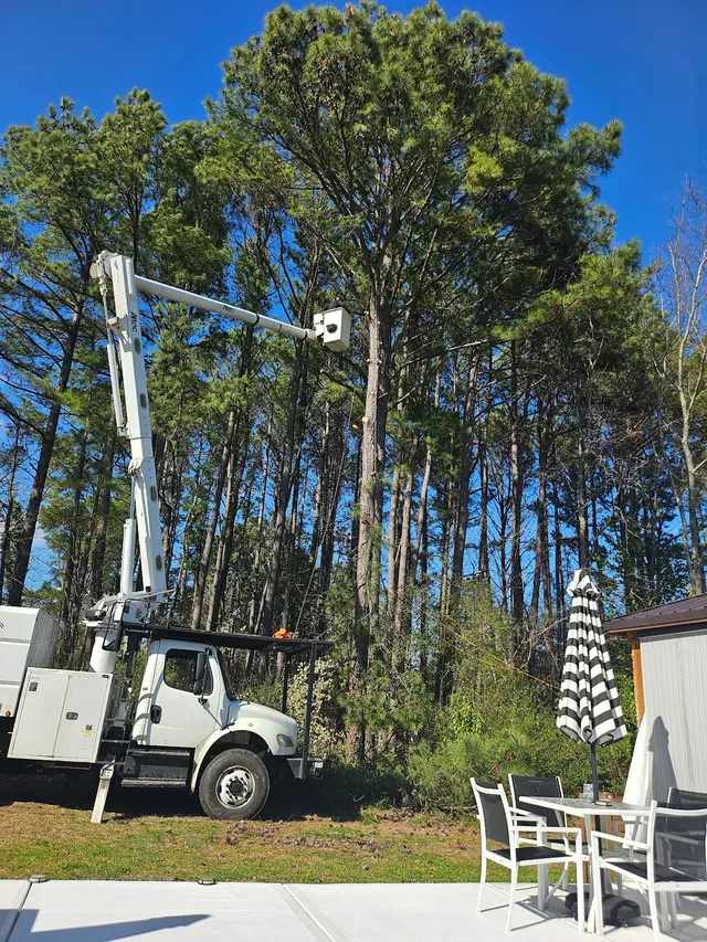 JayBird Tree Service, LLC — customer photo 7