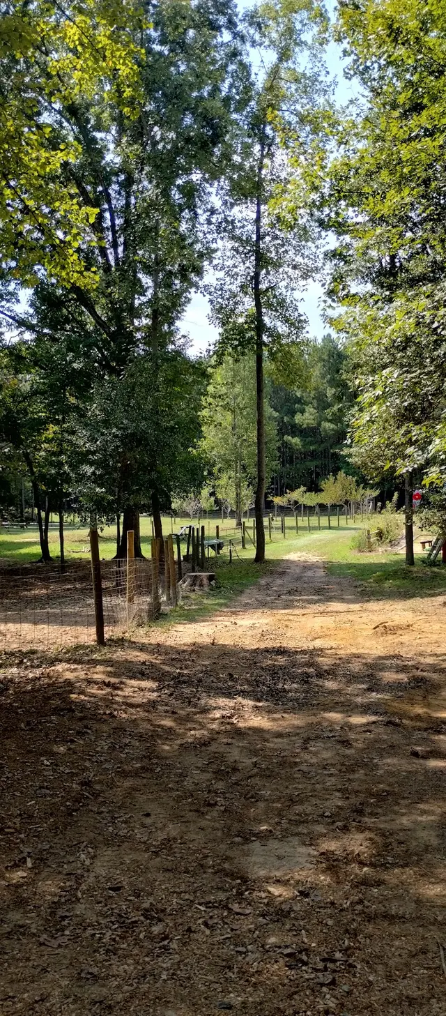 JayBird Tree Service, LLC — customer photo 3