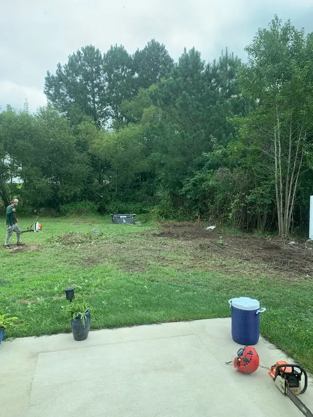 JayBird Tree Service, LLC — customer photo 4