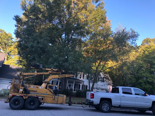 Mr. Beaver Tree Service — photo from the business 8