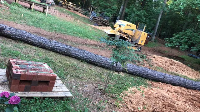 Mr. Beaver Tree Service — photo from the business 7