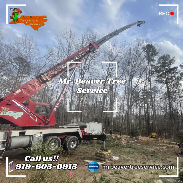 Mr. Beaver Tree Service — photo from the business 2