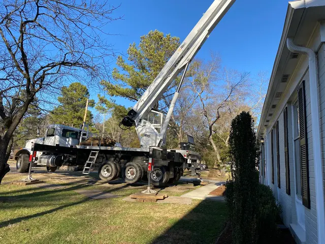 Mr. Beaver Tree Service — customer photo 3