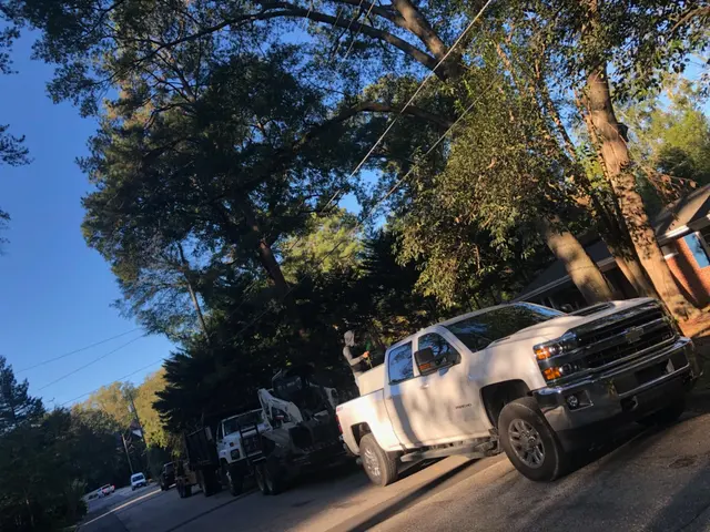 Mr. Beaver Tree Service — photo from the business 11