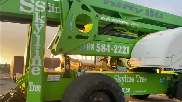 Skyline Tree Service and Landscaping — photo from the business 4