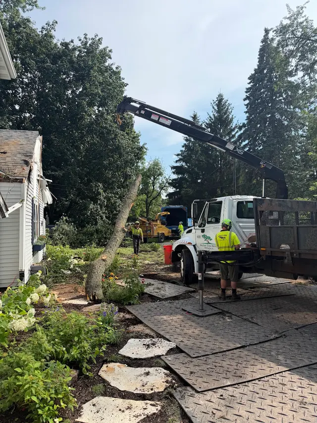 Skyline Tree Service and Landscaping — photo from the business 7