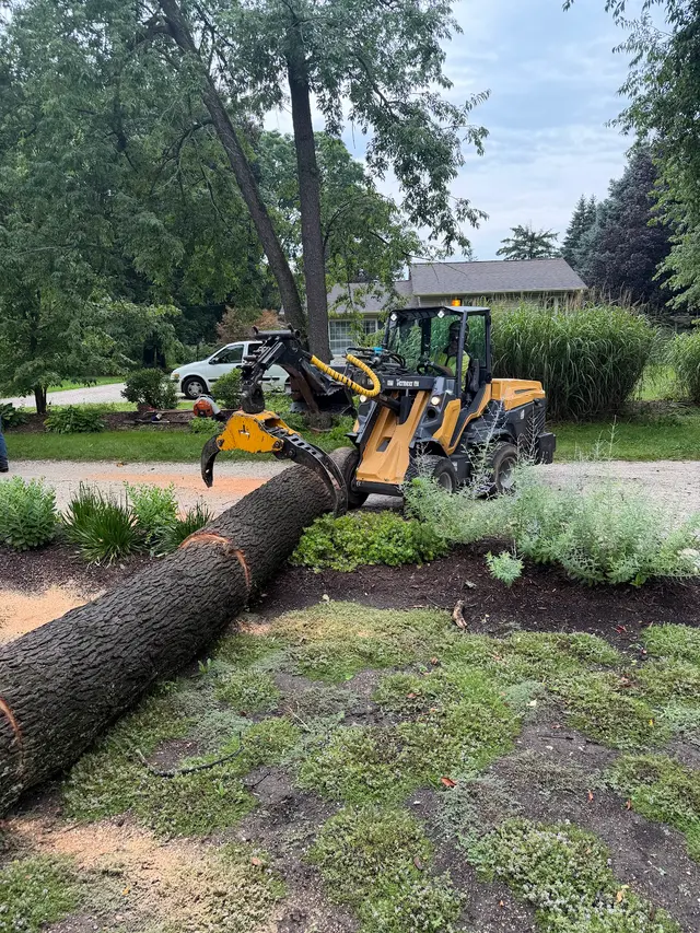 Skyline Tree Service and Landscaping — photo from the business 11