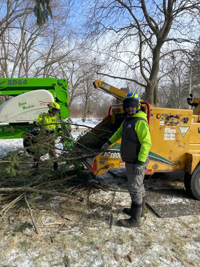 Skyline Tree Service and Landscaping — photo from the business 8