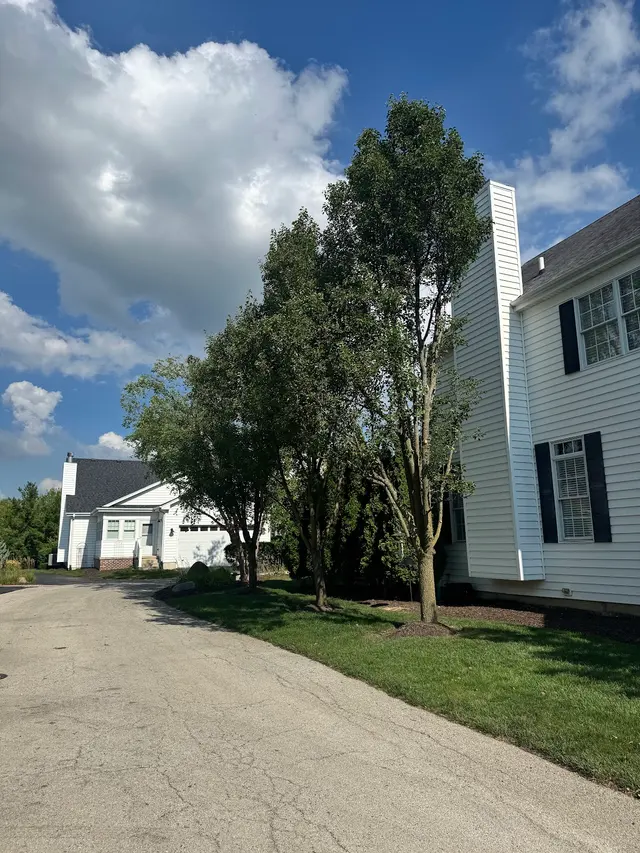 Skyline Tree Service and Landscaping — customer photo 10