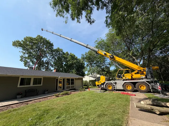 Skyline Tree Service and Landscaping — photo from the business 2