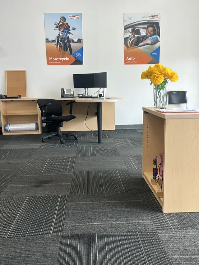 Cost-U-Less Insurance — customer photo 3