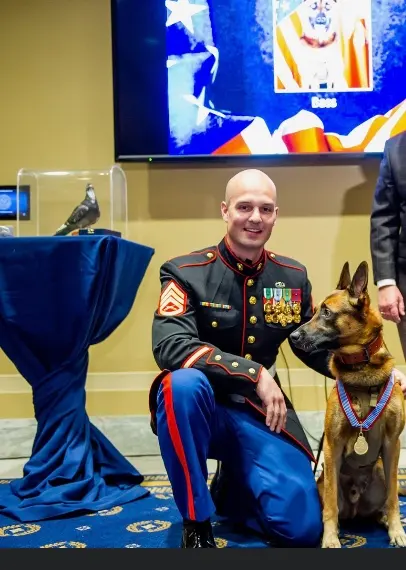 Ivy League Canine Academy — photo from the business 11
