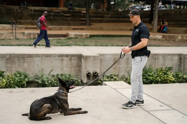 Ivy League Canine Academy — photo from the business 6