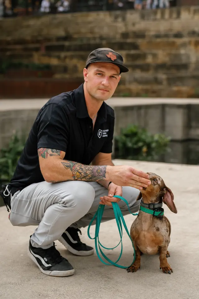 Ivy League Canine Academy — photo from the business 2
