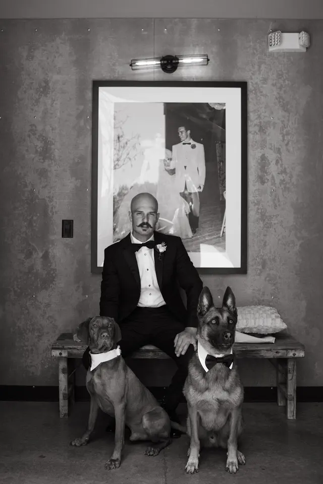 Ivy League Canine Academy — photo from the business 1