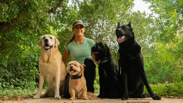 All Around K9 Training — photo from the business 8