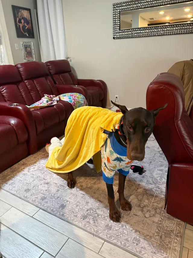 Customer photo from Crystal's review