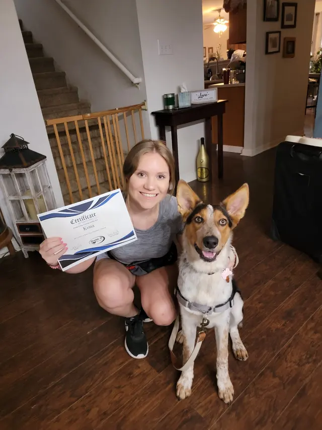 Double D Dog Training — photo from the business 10