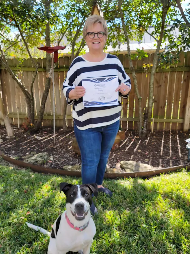 Double D Dog Training — photo from the business 3