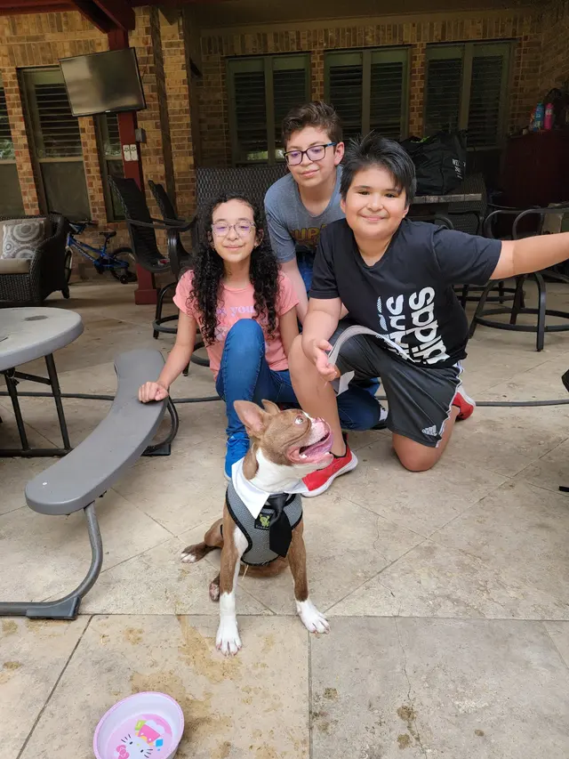 Double D Dog Training — photo from the business 7