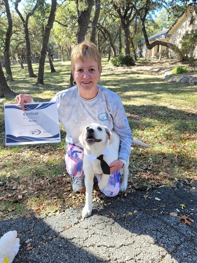 Double D Dog Training — photo from the business 12