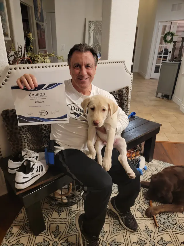 Double D Dog Training — photo from the business 2