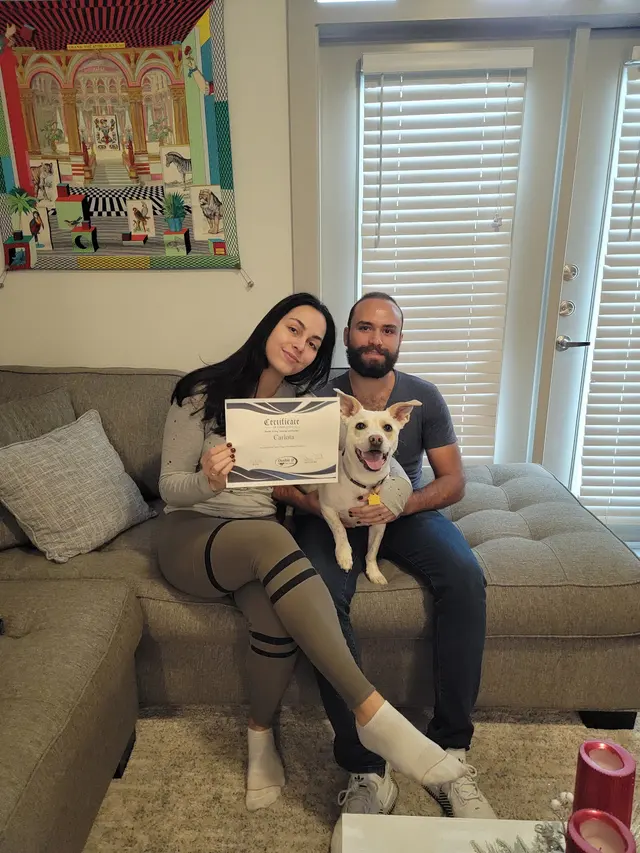 Double D Dog Training — photo from the business 6