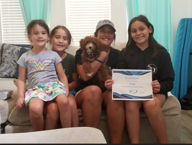 Double D Dog Training — photo from the business 1