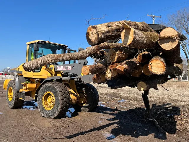 Central Tree — photo from the business 8
